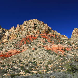 Desert Blue Sky