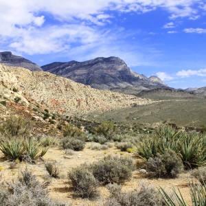 Red Rock Canyon of Las Vegas