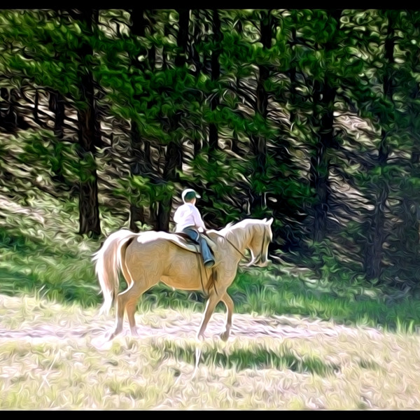 Little Horse Rider