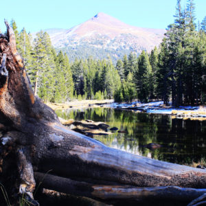 Yosemite National Park in the Fall